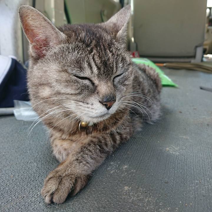 6f41f72e d5dd 4f9b a579 e66a29380739 1559372500206