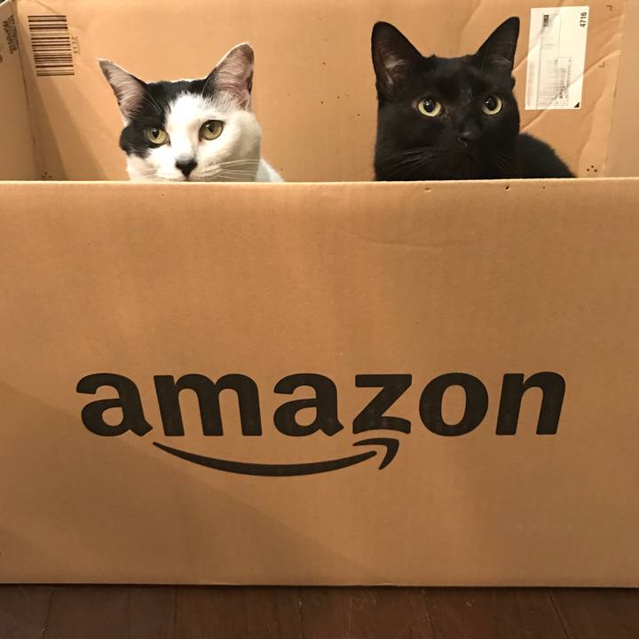 6f426ed5 414a 45c2 af1c 0024c8ee7fea 1522593126603