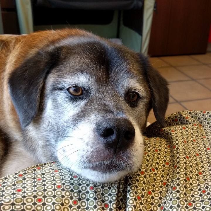 6f429c63 6247 464e 9086 e302e49ae813 1531897453828