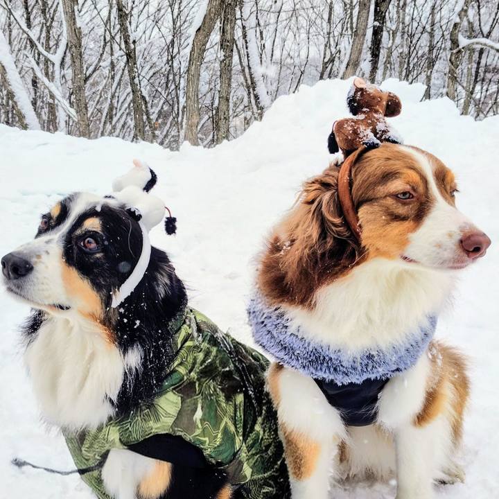 6f42d45b dff8 421e ac25 66b555dc4905 1767438314448