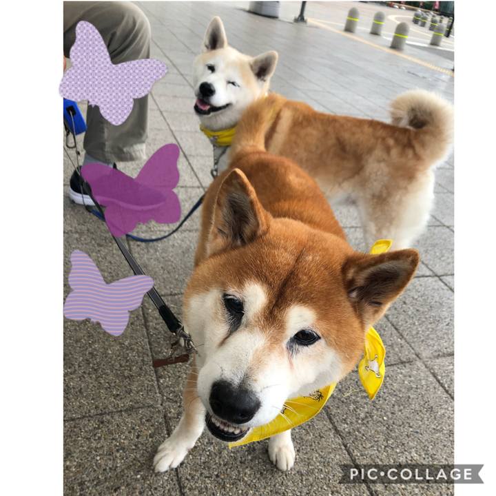 6f42d55b 8cc3 4f06 b486 3de91b919cbc 1569208321463