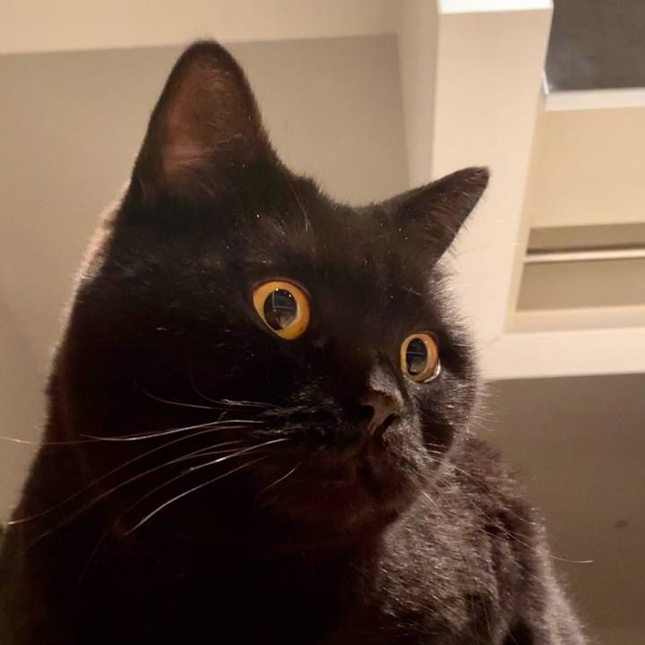 6f42d87c bd44 405f 8b24 e12c1660715d 1667653133591