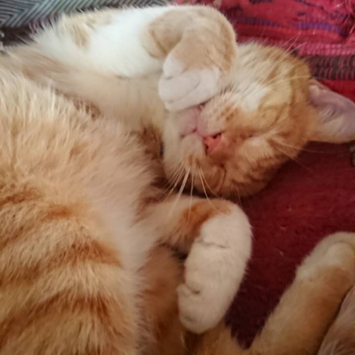 6f42e265 33b4 4419 a155 f82fcd5735b0 1568504637677