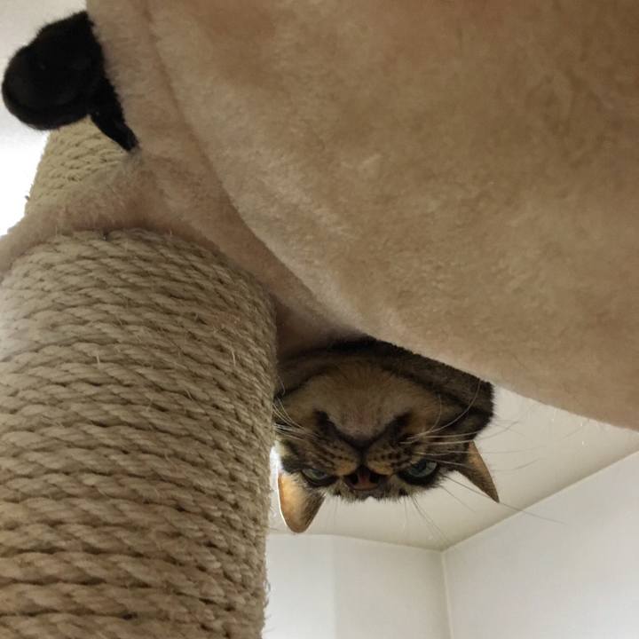 6f430310 ea68 403d bea8 845e621732ae 1517274071322