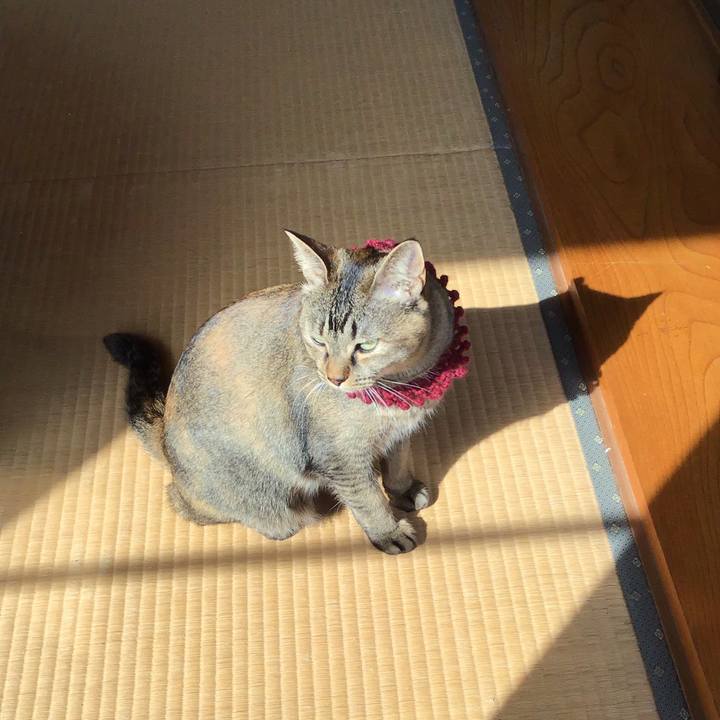 6f43056b cc3b 42c0 9f43 8d08214f7f77 1615424710566