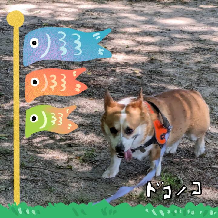 6f431907 a2d6 4c4f a9d0 2959d2d9c7c6 1715110766012