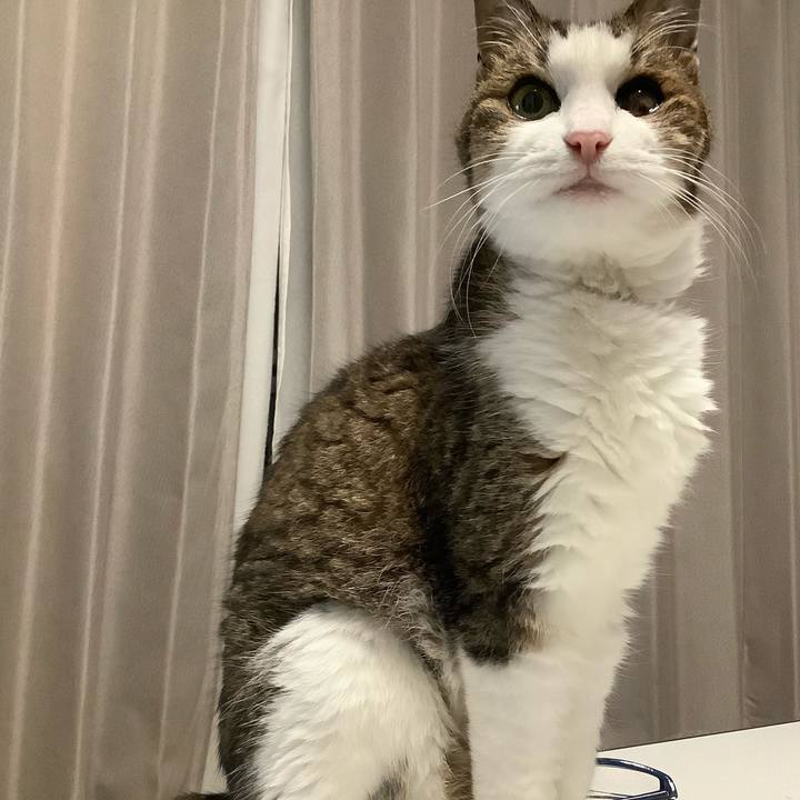 6f4358b8 574c 4258 a332 8008249af600 1593097012609