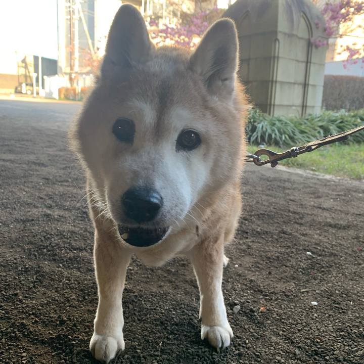 6f43788f e204 4ddb b6e1 c94c86fbd02c 1677571810862