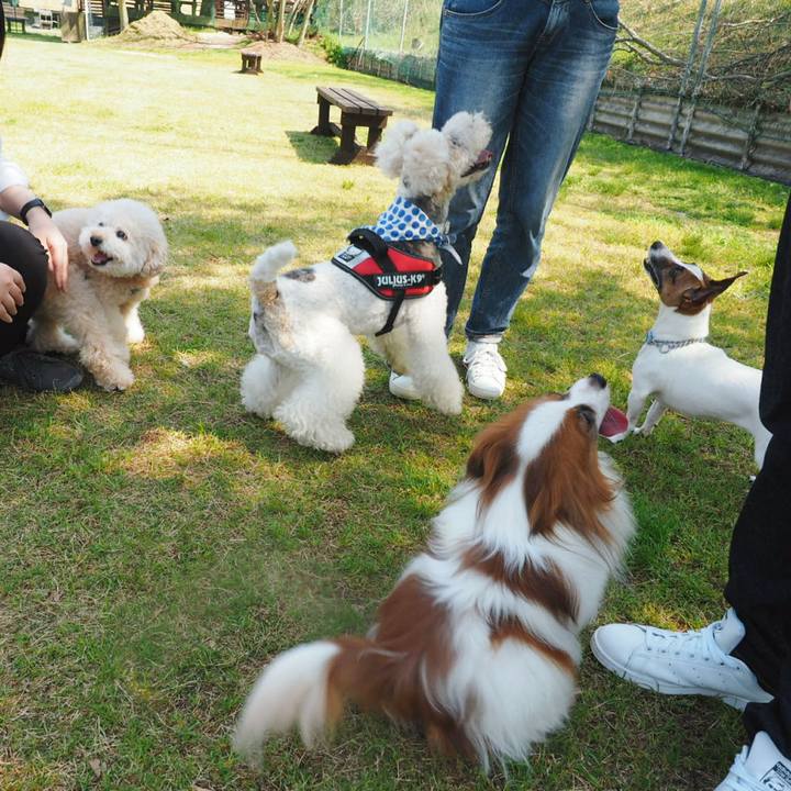 6f43a9e1 402c 4337 8071 9d9772337ea4 1524224062049