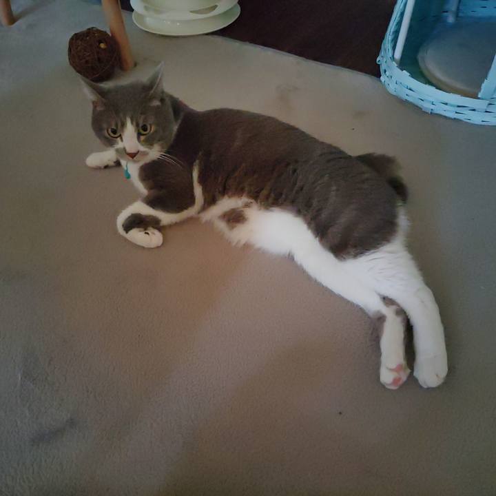 6f43be0b d820 4efb 90ac a2dd3aa67f0b 1656366229098