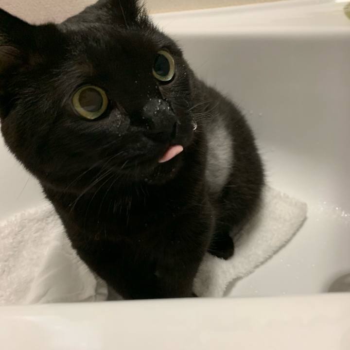 6f43deae a615 4e8c 81fb 7b288aa392c0 1563684444131