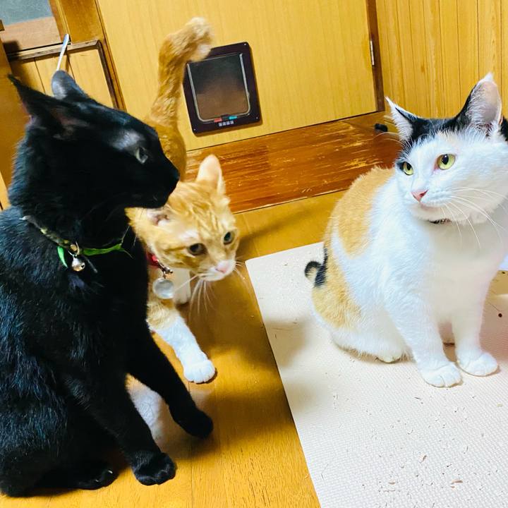 6f440ccb c12a 4536 8850 e7199f82b6b8 1693919371411