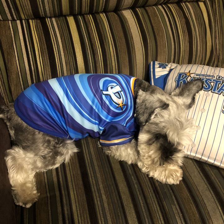 6f4448fd 9005 4db5 b0a8 ac0c068d26bc 1564998895203