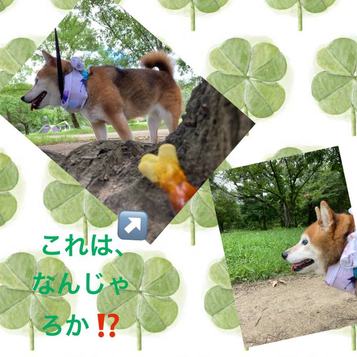 6f44576d f766 46c3 a21b 2a8a7c5a1633 1722311935236