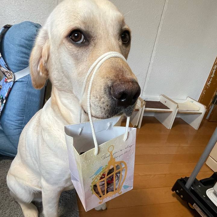 6f447f85 2a95 4bbc 91a9 80bb595db29f 1644828489620