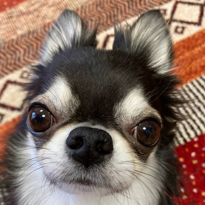 6f448716 bb5f 4c9d 9878 2fb69bc28601 1676070677379