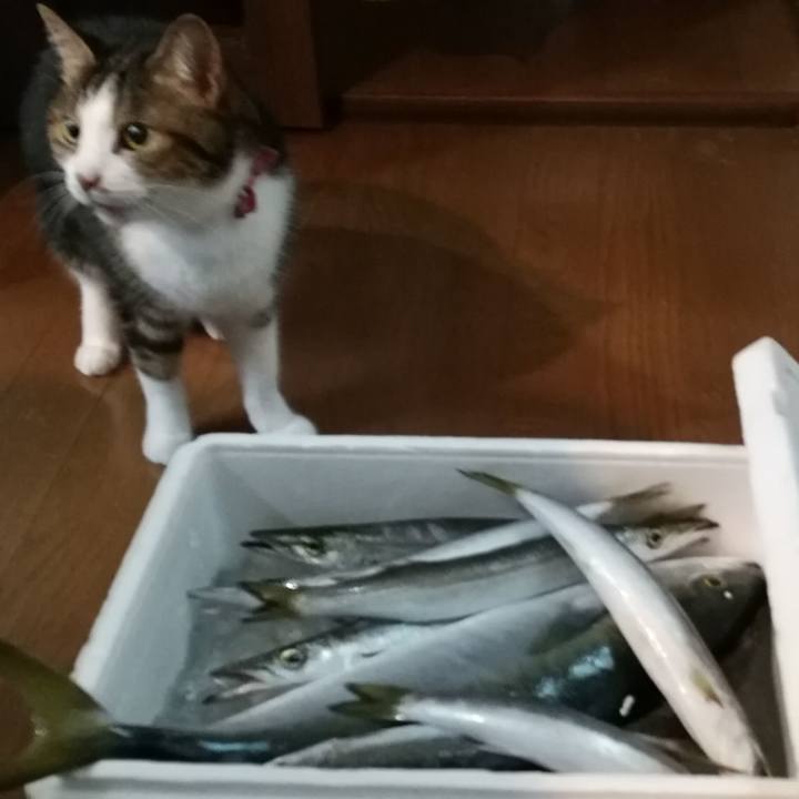 6f44c481 9384 4bef bbd9 4e60a26df4c3 1537485927756