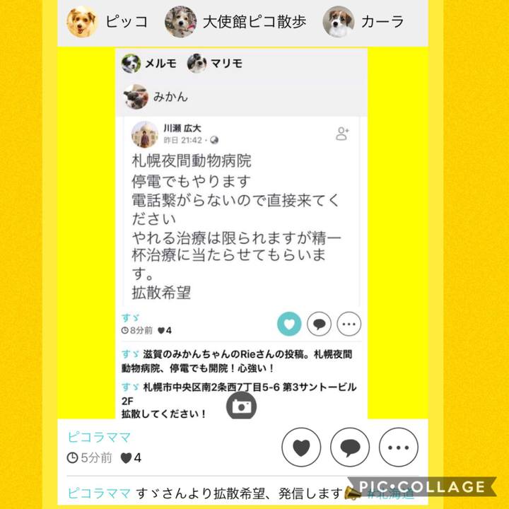 6f44dc58 6721 43f1 8d23 cf262ceb5d3d 1536279313849