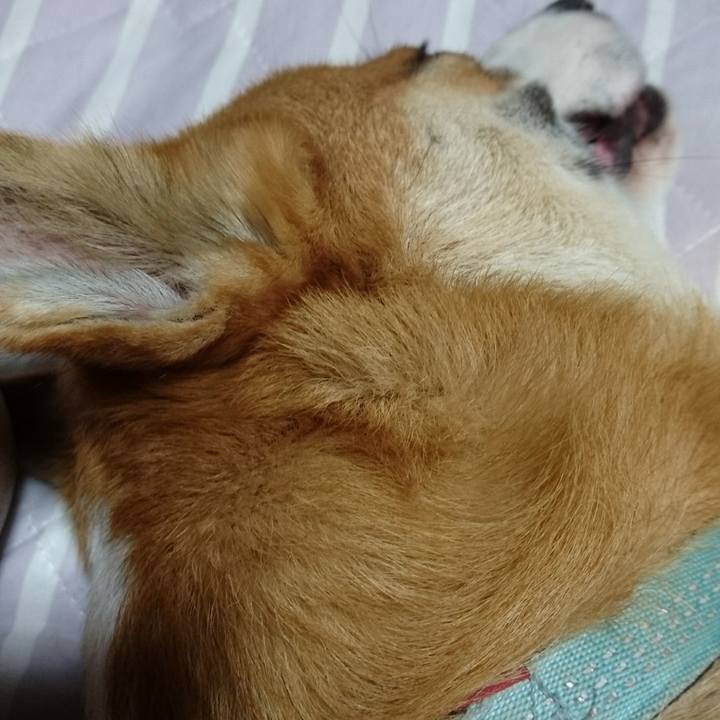 6f44f64e 5b06 4bcd a70b be0dfe9bf7d0 1597455999167