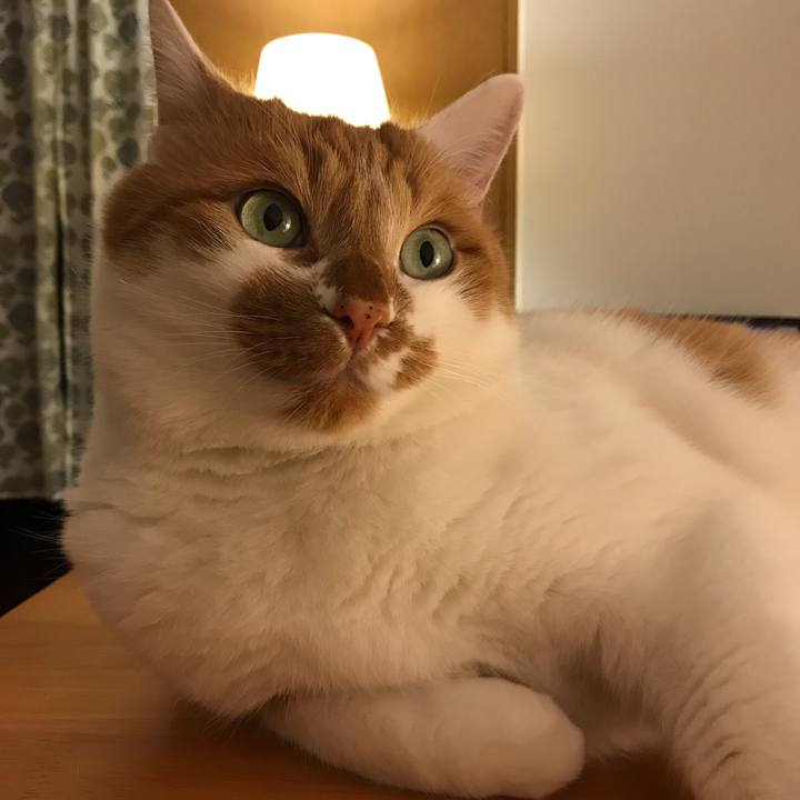 6f451380 d04c 45f7 b2af 6adf89a14eb9 1551611933670