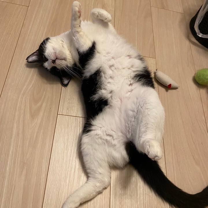 6f457a33 d3cb 4c22 9263 68b6d2feb8d9 1715342609668