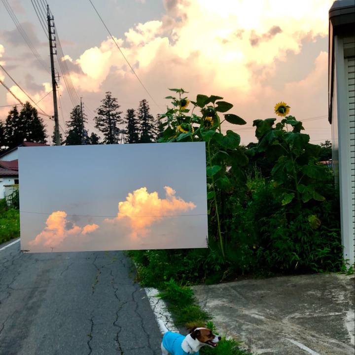 6f459dda 3f08 4dfd 8881 6b5f1fe73aba 1565002733117