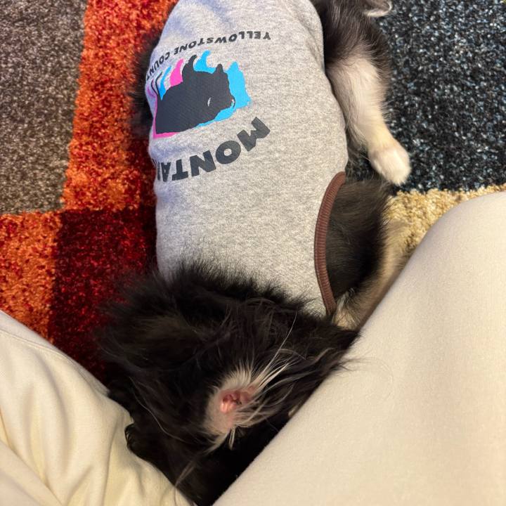 6f45bec0 4427 4ca1 b510 263083c383f6 1744476171182