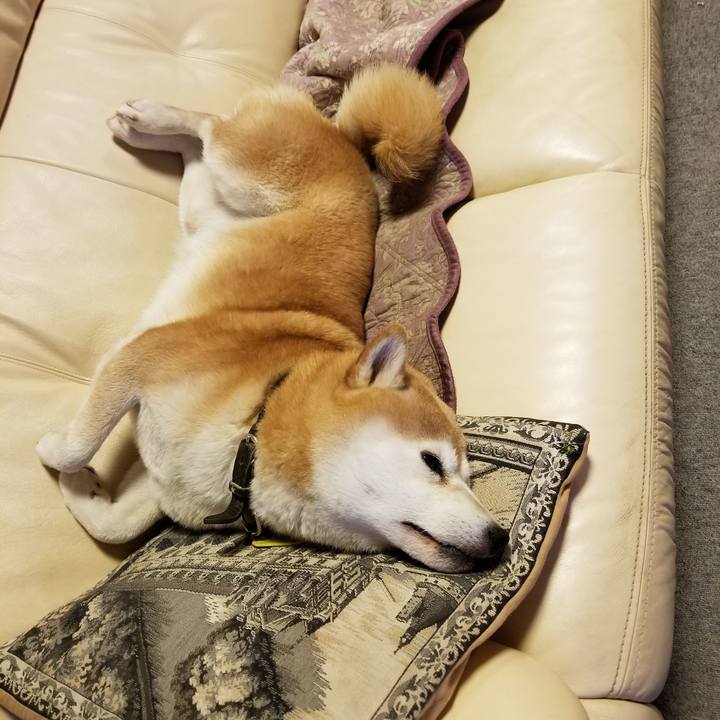 6f45c54c 2d9f 4720 bf2a 7758c5851373 1637579826957