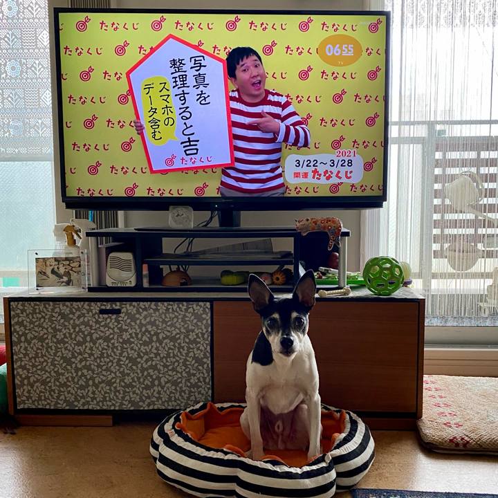 6f463003 fabb 4017 ac7e b384333b0268 1616364173740