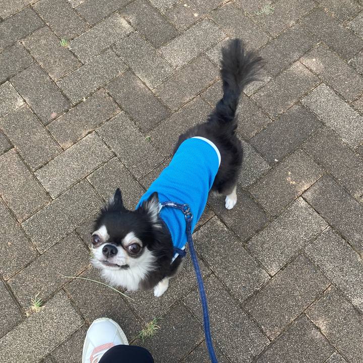 6f46678b d1f1 4204 bd5b 06dc3e0e983f 1691854197499