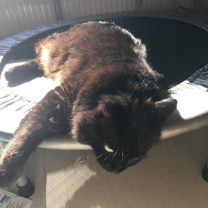 6f4675ef 15c8 49f2 a1ef 4d10e7248f84 1534755729974