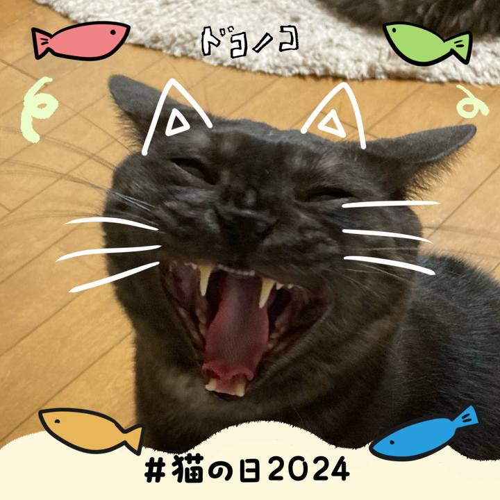 6f467cb5 ee5a 4e55 8299 91f8c4b7a83d 1708588579448