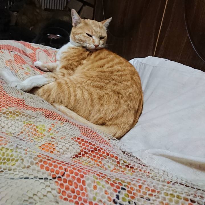 6f468d36 ab03 4b16 a275 3ea86ebe2ed5 1586692022097