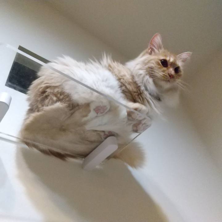 6f469046 3bbe 48b4 a532 9188c21d53d4 1651156640192