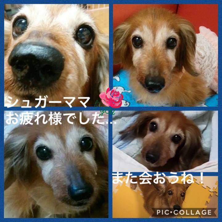 6f46963c 6358 436c bc00 a354f5ba291f 1536660516472