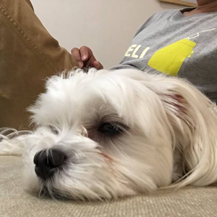 6f4697b2 34c4 425e 94d1 3d5d89a0c018 1538267928805