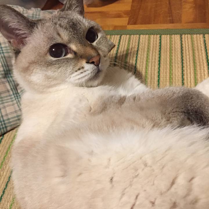 6f46ad3b 14ee 4f4a 964b 67f5beda1450 1571745149982