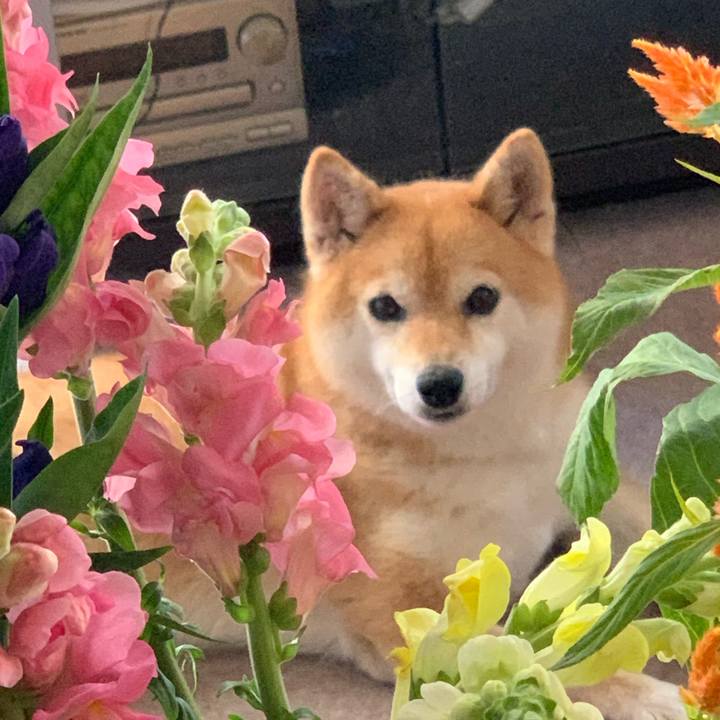 6f46b5f1 9674 4d88 a03a 47914a01fabd 1564189292456