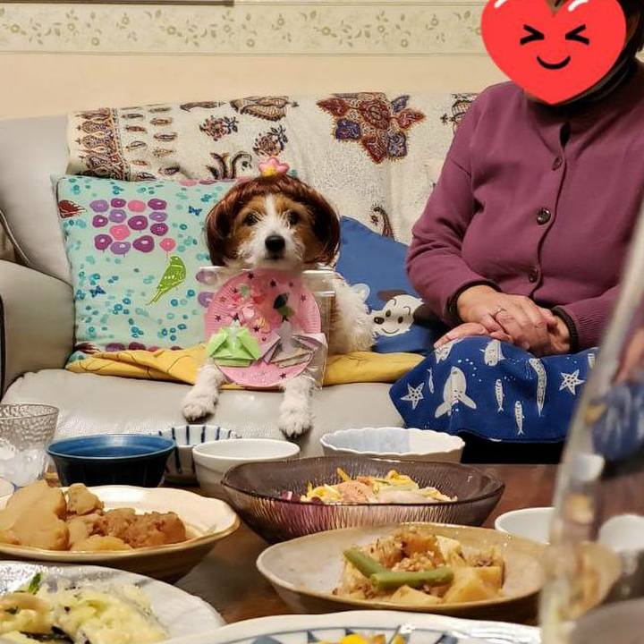 6f46c208 c3f5 4cec 8f92 da1e28f60c9a 1583234164880