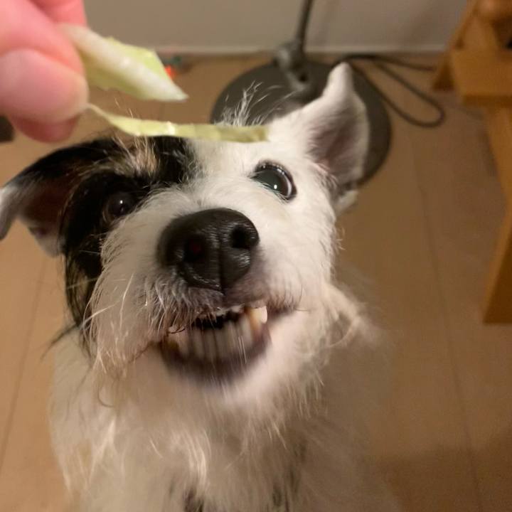 6f46d714 6760 46ef 90fb b3b4d1dbbb7b 1699179676236