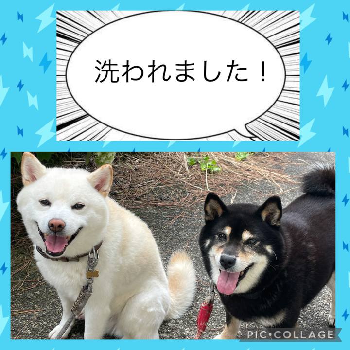 6f46d8b9 3323 470f 8c7f abd68ef888ca 1627149219563