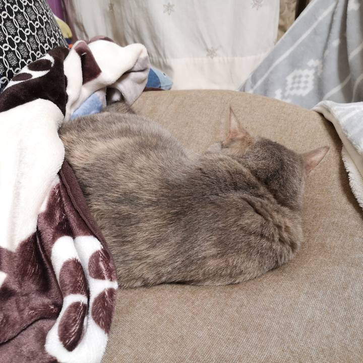 6f4702dd bff3 4970 9be3 8a49dc0b5861 1573914059052