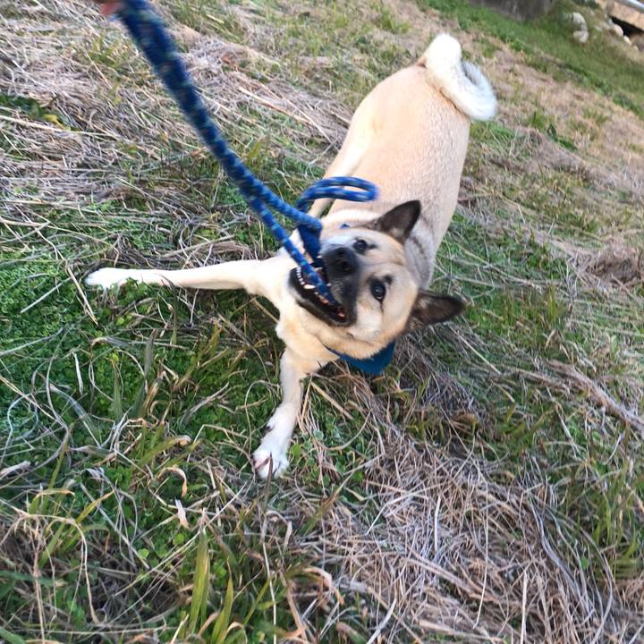 6f470be1 d700 4569 8d48 a2fb7a5e5339 1580820100093