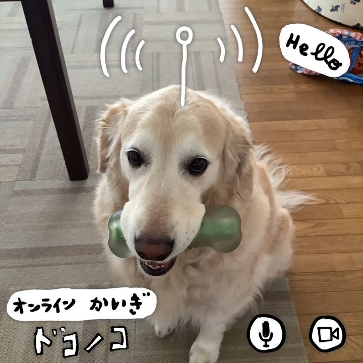 6f470fbb 2ecb 4bcf 867b 3adce86578e7 1592346818846