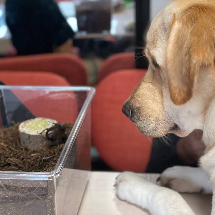 6f477e62 1519 46d5 8680 680b2d0a7878 1656323083986