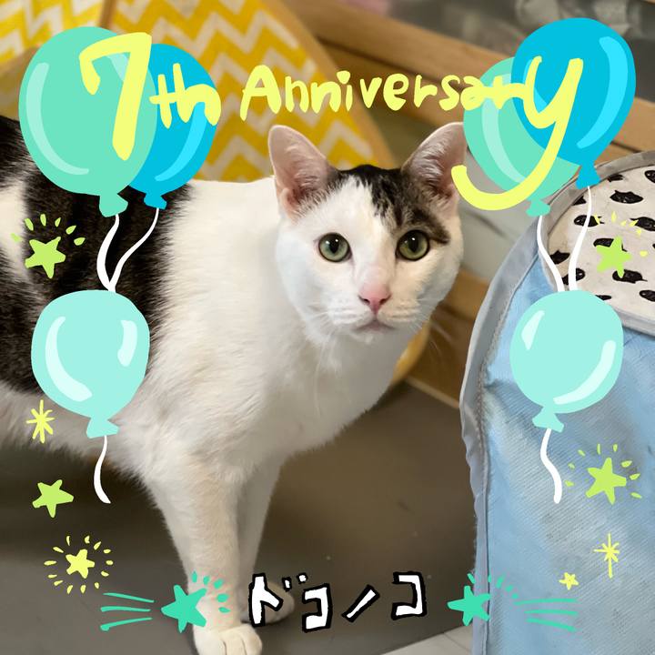 6f47bbce a6d9 4f88 a15c 4db0122bfc27 1685971792053