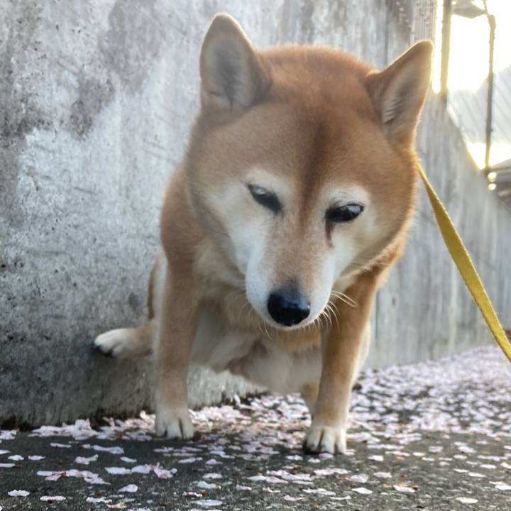 6f47bfb2 d3ce 4e35 a3ce ceb4689b8371 1649146124814