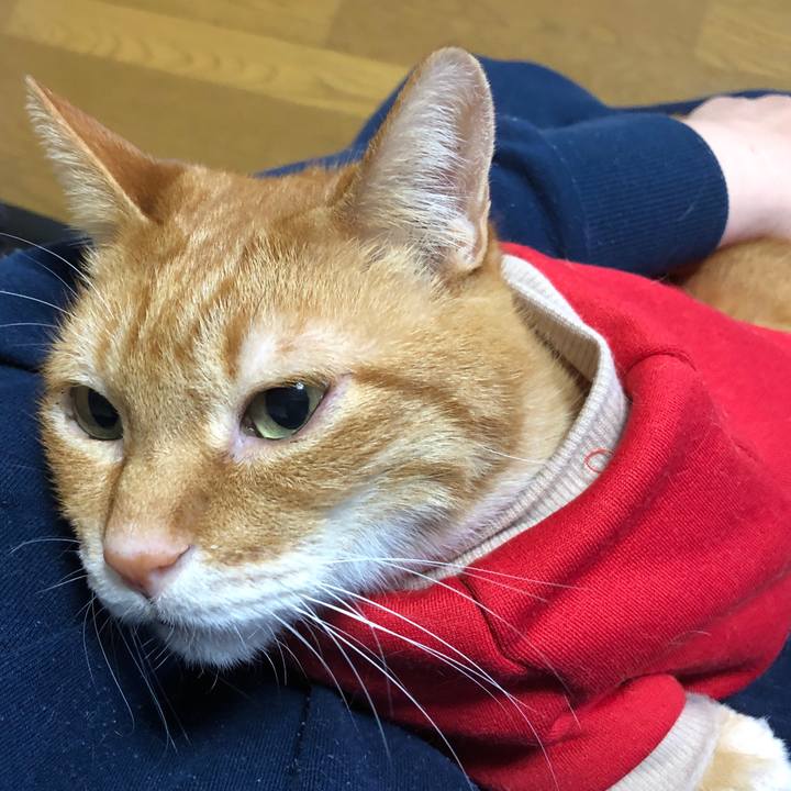 6f47c690 dd6b 4061 ab8f 05aea759c550 1735165186483