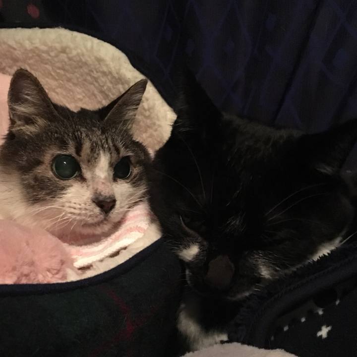 6f47deb6 2be5 4ad2 bd6d d291715d3464 1509876126154