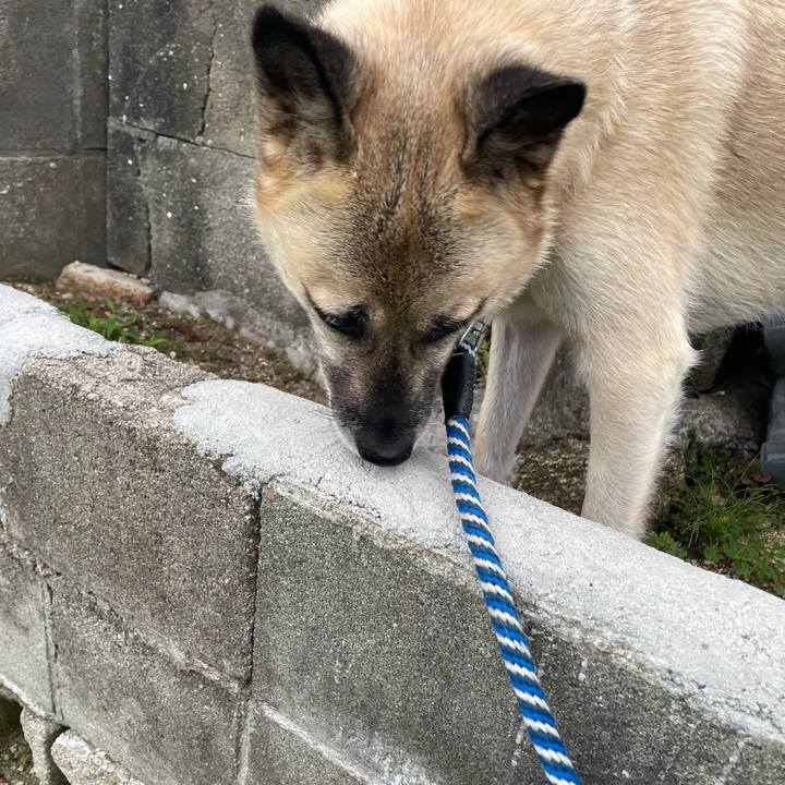 6f484996 62e9 4a25 9bcd 56186dab8292 1665062002145